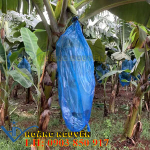 Túi Nilong Bọc Buồng Chuối