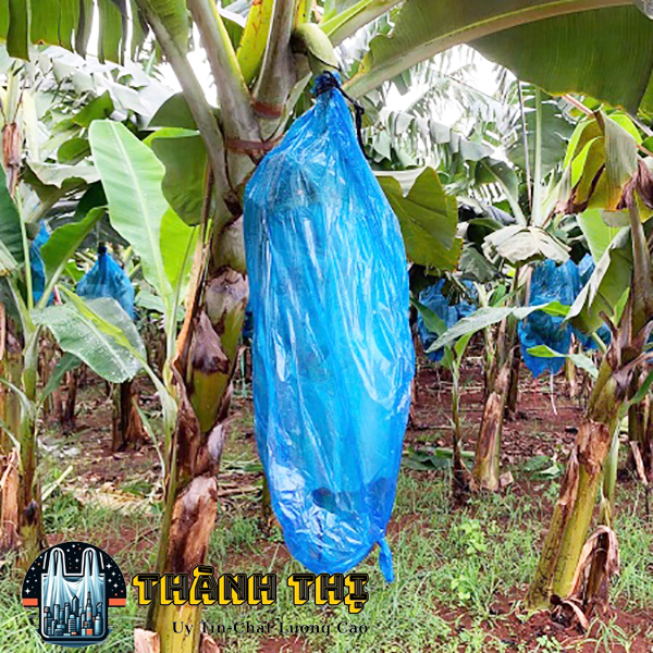 Túi Trùm Buồng Chuối